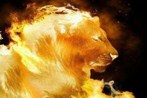 O que significa Leão de Judá? Aprenda em nosso estudo