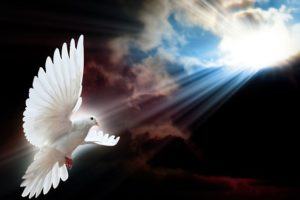 Precisamos dar liberdade para o Espírito Santo agir?
