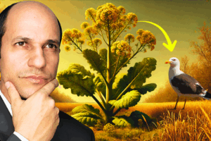 A parábola do grão de mostarda verso por verso. Quem são as aves?