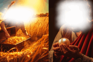 Parábolas Gêmeas (tesouro escondido e pérola de grande valor) verso por verso