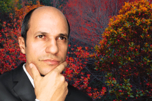 A parábola da figueira que poucos conhecem!