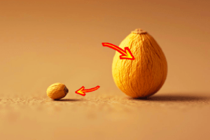 Fé tem medida? O que é “a medida da fé” em Romanos 12:3?